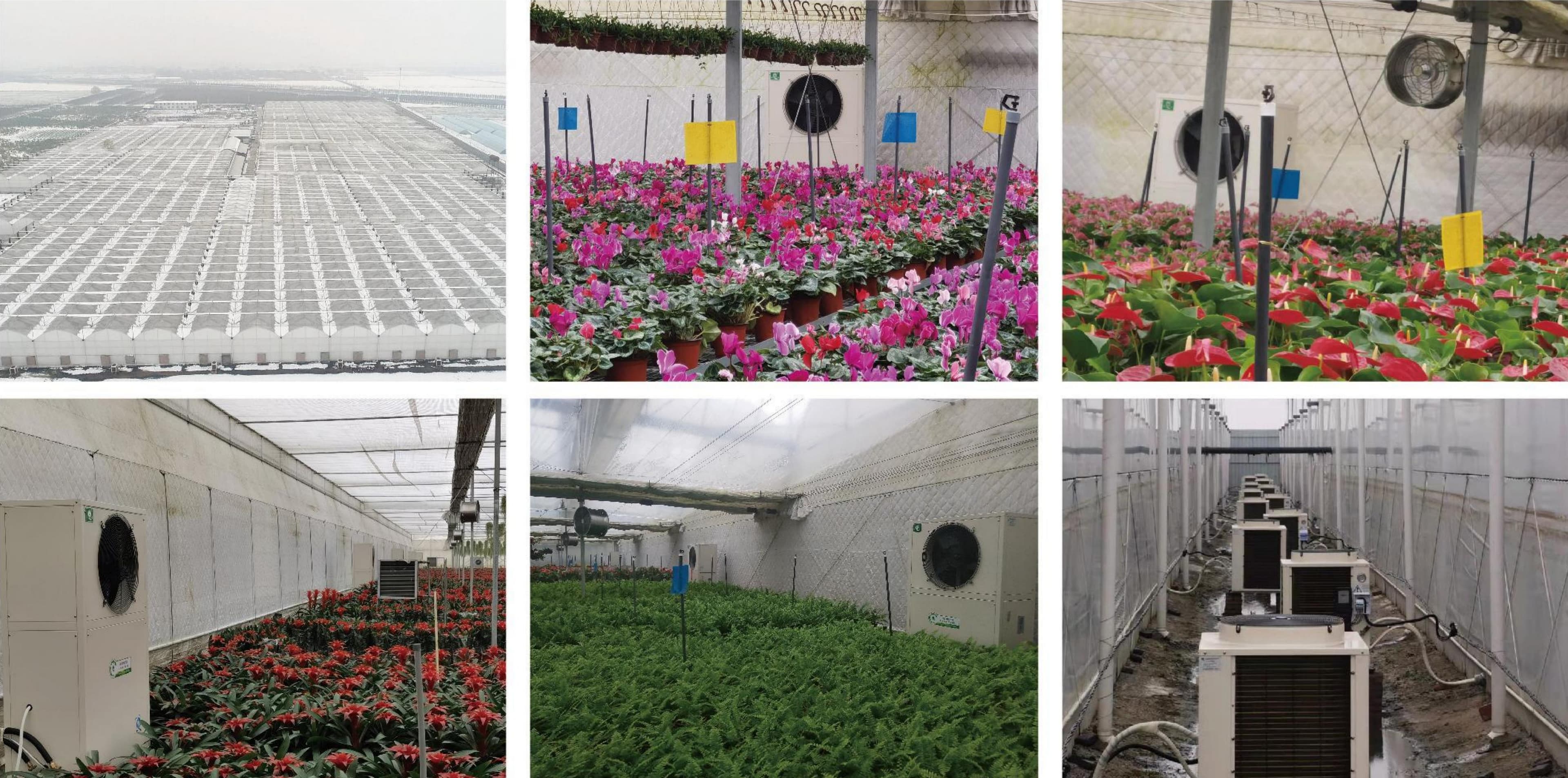 Zhengzhou 50,000 sqm Floral Greenhouse