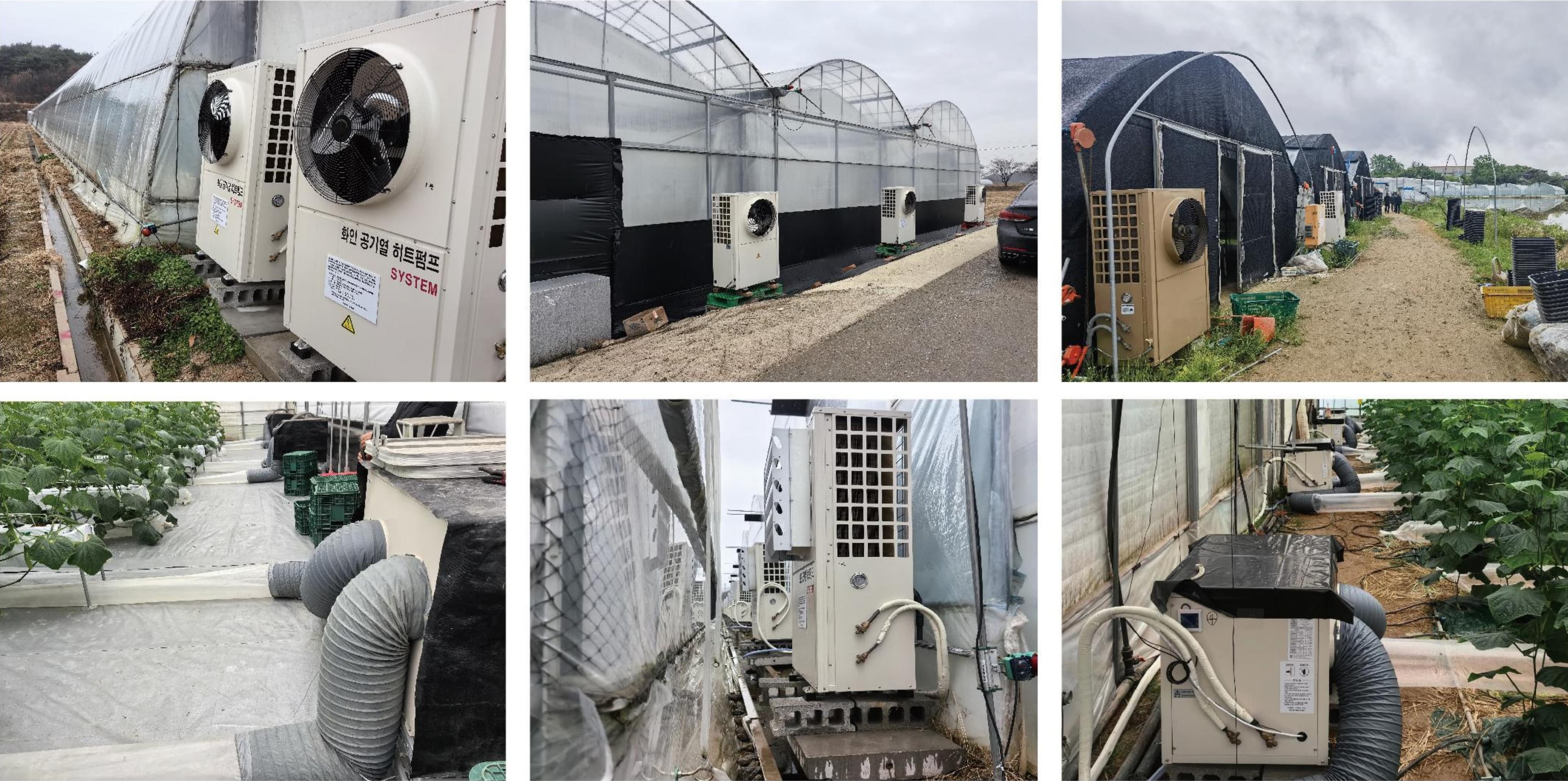South Korea Edible Fungi Base